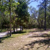 Review photo of General Coffee State Park Campground by Rachel G., July 7, 2021