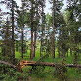 Review photo of Springdale Campground by Travis E., July 7, 2021