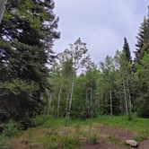 Review photo of Bogan Flats Campground Grp S by Travis E., July 7, 2021