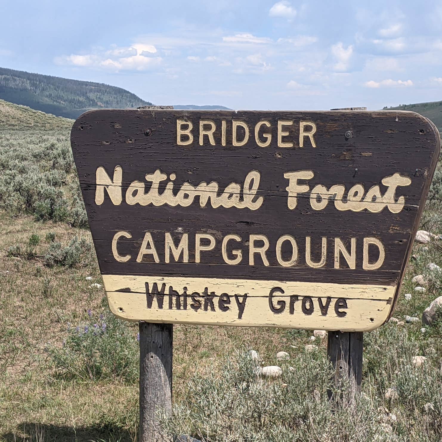 Whiskey Grove Camping The Dyrt