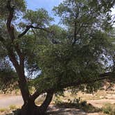 Review photo of City of Rocks State Park Campground by Jayne  W., June 13, 2018