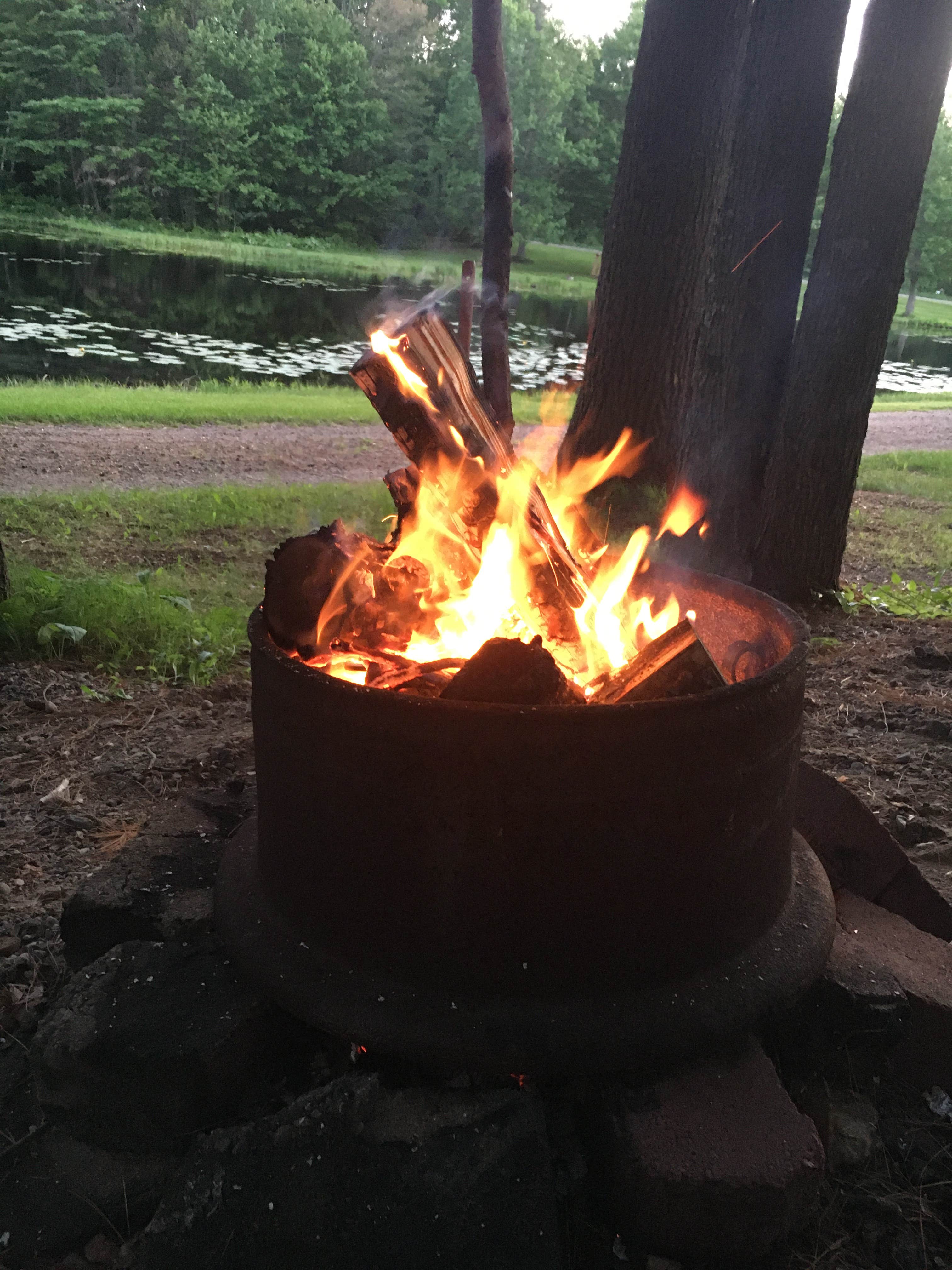 Camper submitted image from Birkensee Campground - 1