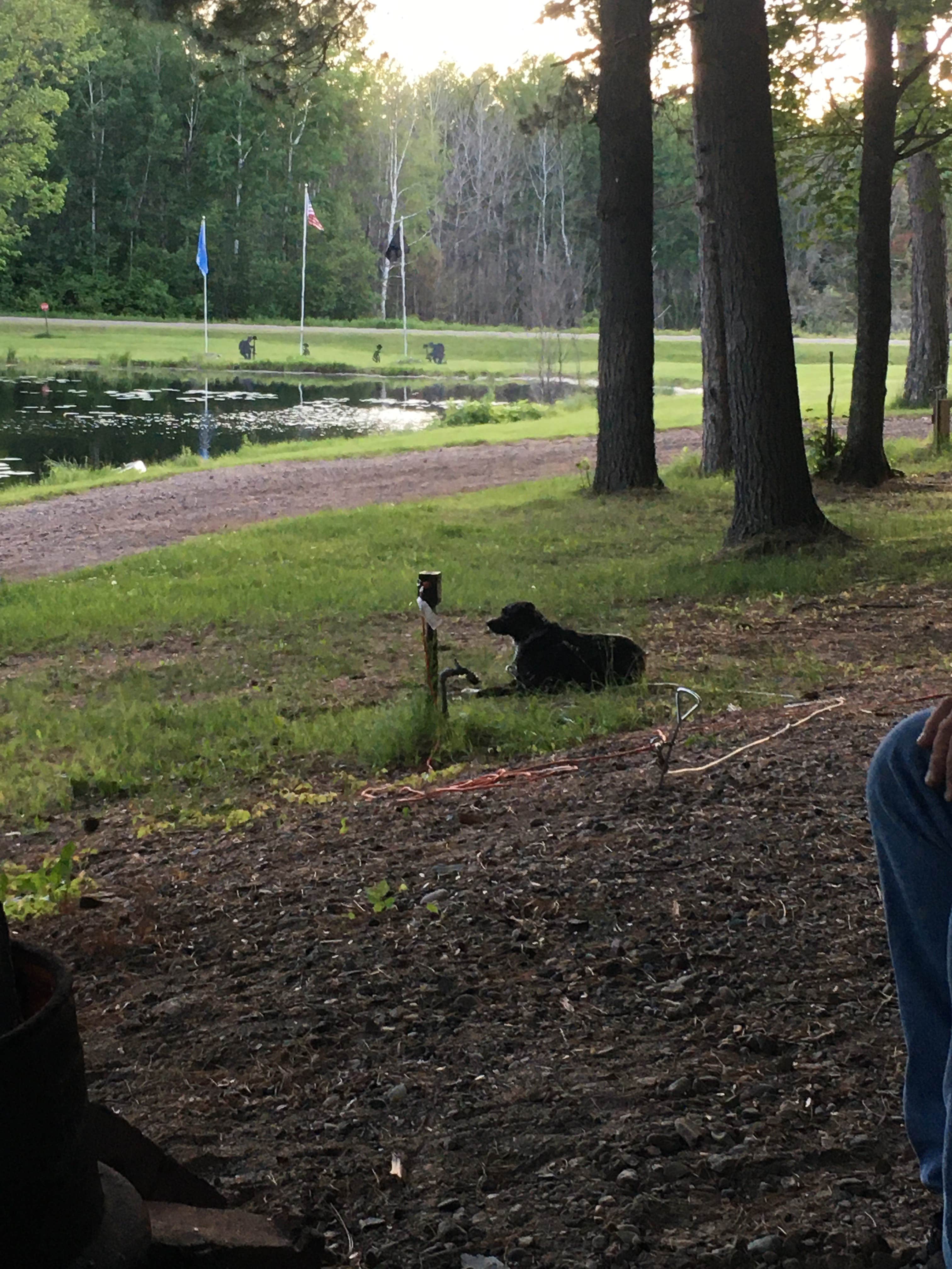 Camper-submitted photo at Birkensee Campground near Westboro, WI