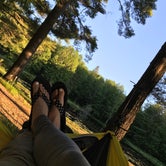 Review photo of Birkensee Campground by Elizabeth , July 8, 2021