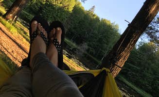 Elizabeth's photo at Birkensee Campground near Irma, WI