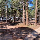 Review photo of Diamond Campground & RV Park by Cheryl W., July 8, 2021