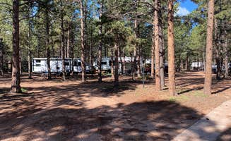 Cheryl W.'s photo at Diamond Campground & RV Park near Green Mountain Falls, CO