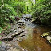 Review photo of Hickory Run State Park Campground by Nate & Erika L., July 8, 2021