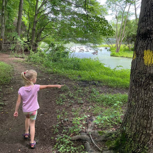 Muddy Run Rec Park - PPL Camping | Holtwood, PA