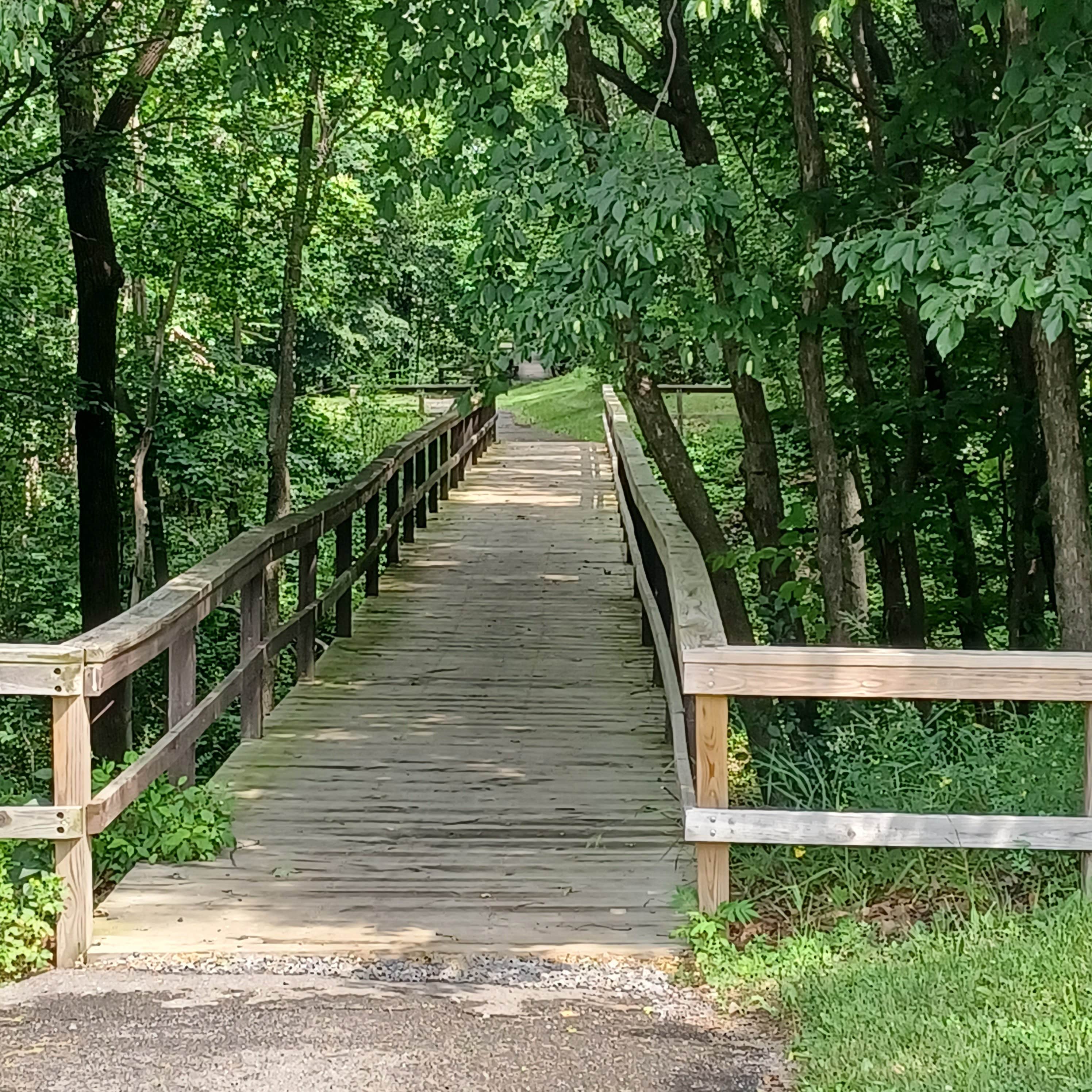 Camper submitted image from Sampson State Park Campground - 3