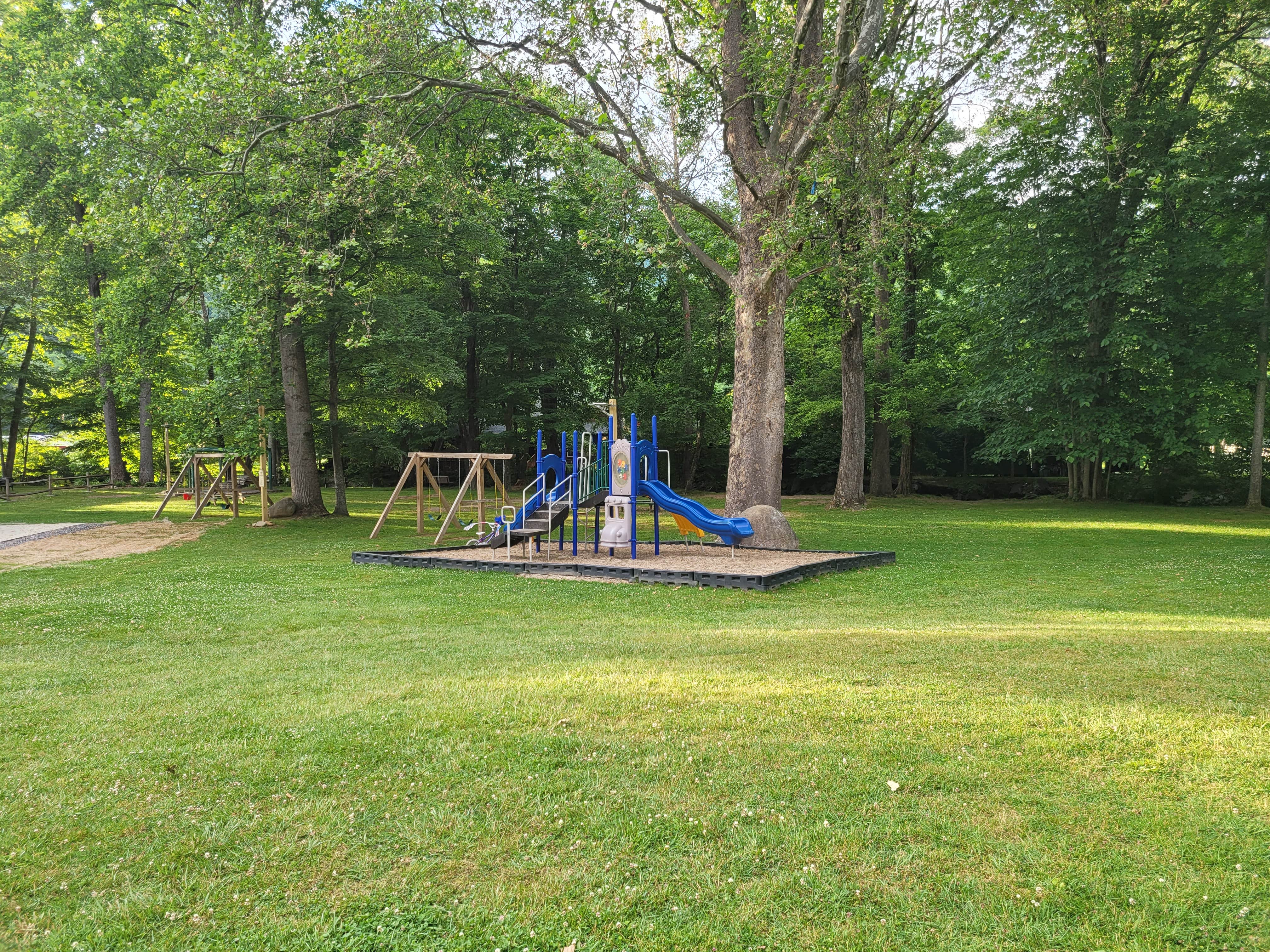 Camper-submitted photo at Stonebridge RV Resort near Canton, NC