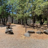 Review photo of Dixie Glade Campground by Susan R., July 8, 2021