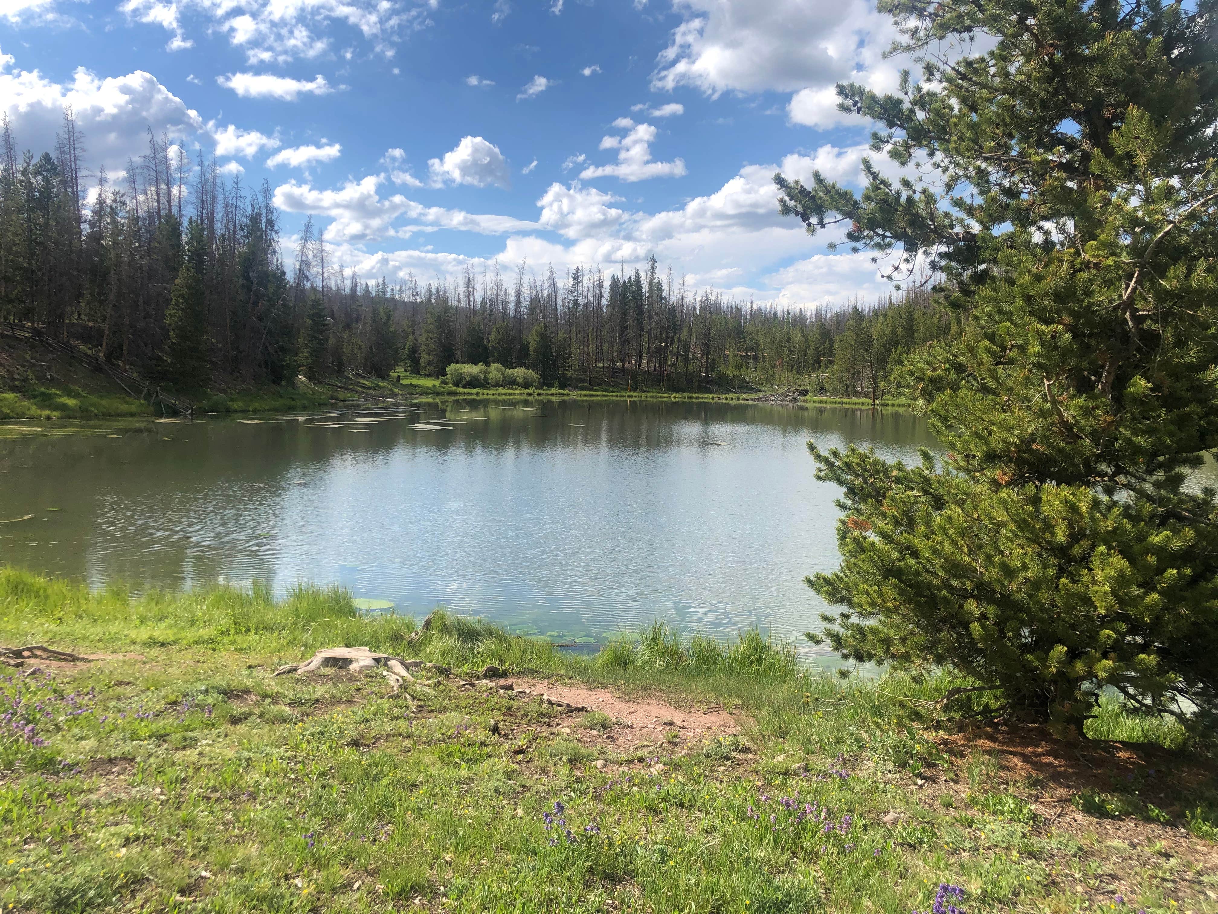 Camper-submitted photo at China Meadows near Robertson, WY
