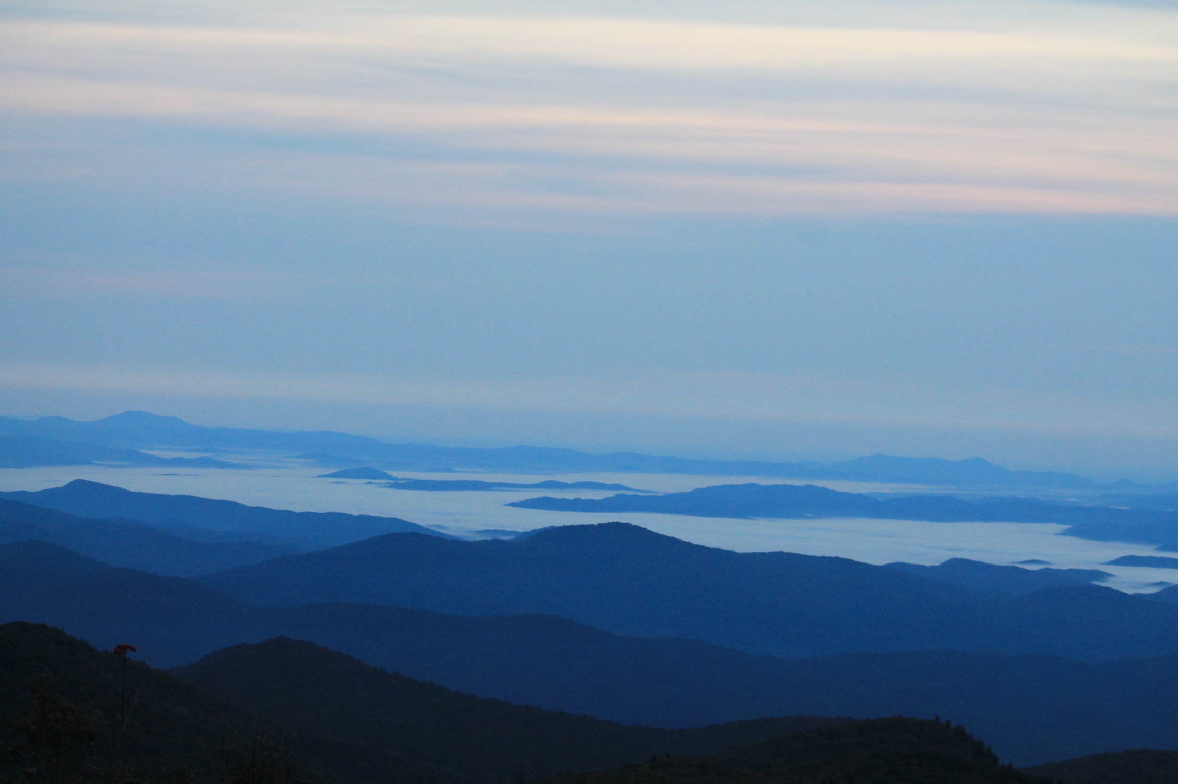 Camper submitted image from Black Balsam Knob - Dispersed Camping - 1