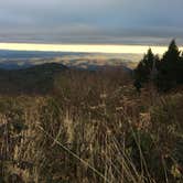 Review photo of Black Balsam Knob - Dispersed Camping by Peter H., July 8, 2021