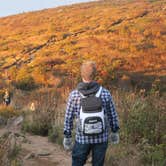 Review photo of Black Balsam Knob - Dispersed Camping by Peter H., July 8, 2021