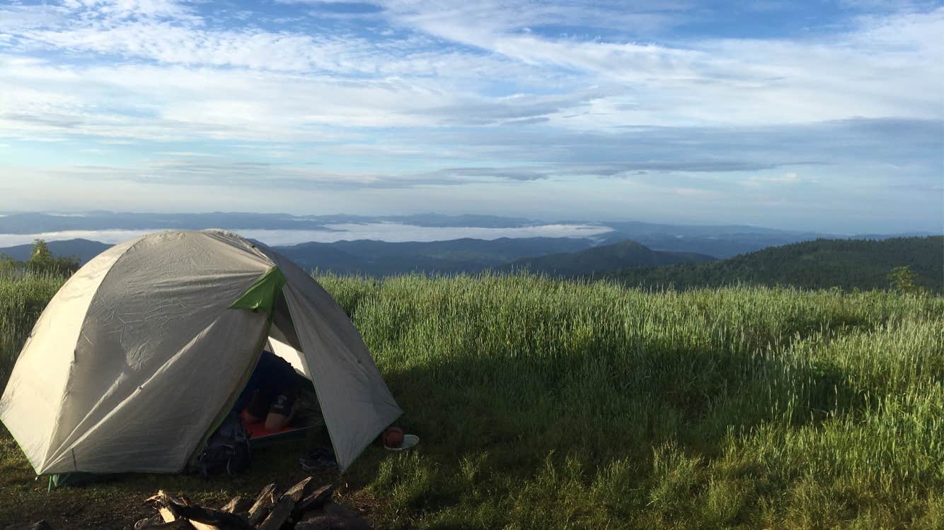 Camper submitted image from Black Balsam Knob - Dispersed Camping - 4