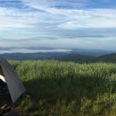 Review photo of Black Balsam Knob - Dispersed Camping by Peter H., July 8, 2021