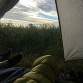 Review photo of Black Balsam Knob - Dispersed Camping by Peter H., July 8, 2021