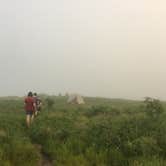 Review photo of Black Balsam Knob - Dispersed Camping by Peter H., July 8, 2021