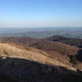 Review photo of Black Balsam Knob - Dispersed Camping by Peter H., July 8, 2021