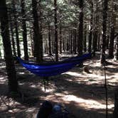 Review photo of Black Balsam Knob - Dispersed Camping by Peter H., July 8, 2021