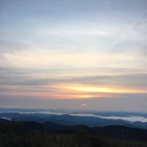 Review photo of Black Balsam Knob - Dispersed Camping by Peter H., July 8, 2021
