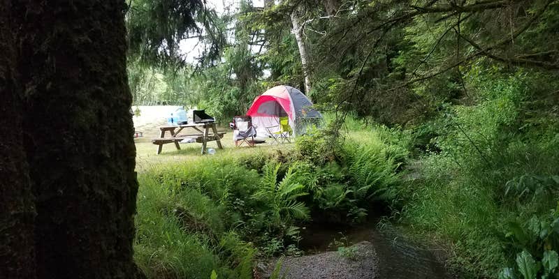 Camper submitted image from Honey Bear by the Sea RV Resort & Campground