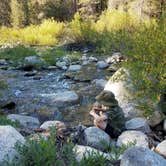 Review photo of Lodgepole Campground — Sequoia National Park by Kristen S., July 8, 2021