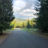 Review photo of Whitetail Campground — Farragut State Park by Jill T., July 8, 2021