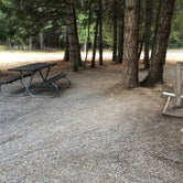 Review photo of Whitetail Campground — Farragut State Park by Jill T., July 8, 2021