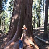 Review photo of Azalea Campground — Kings Canyon National Park by Kristil C., June 13, 2018