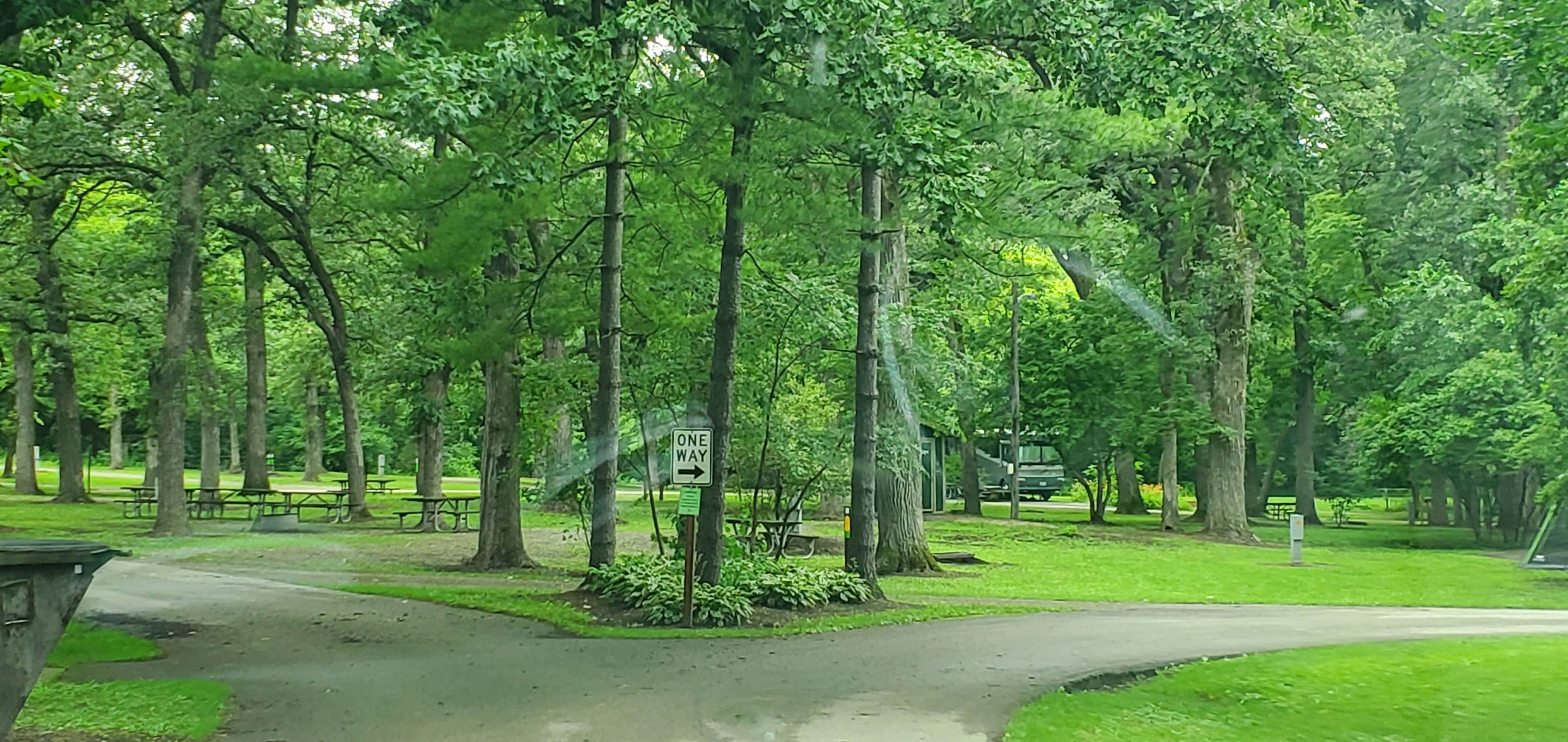 Escape to Serenity: Unwind at Illinois' Seward Bluffs Forest Preserve