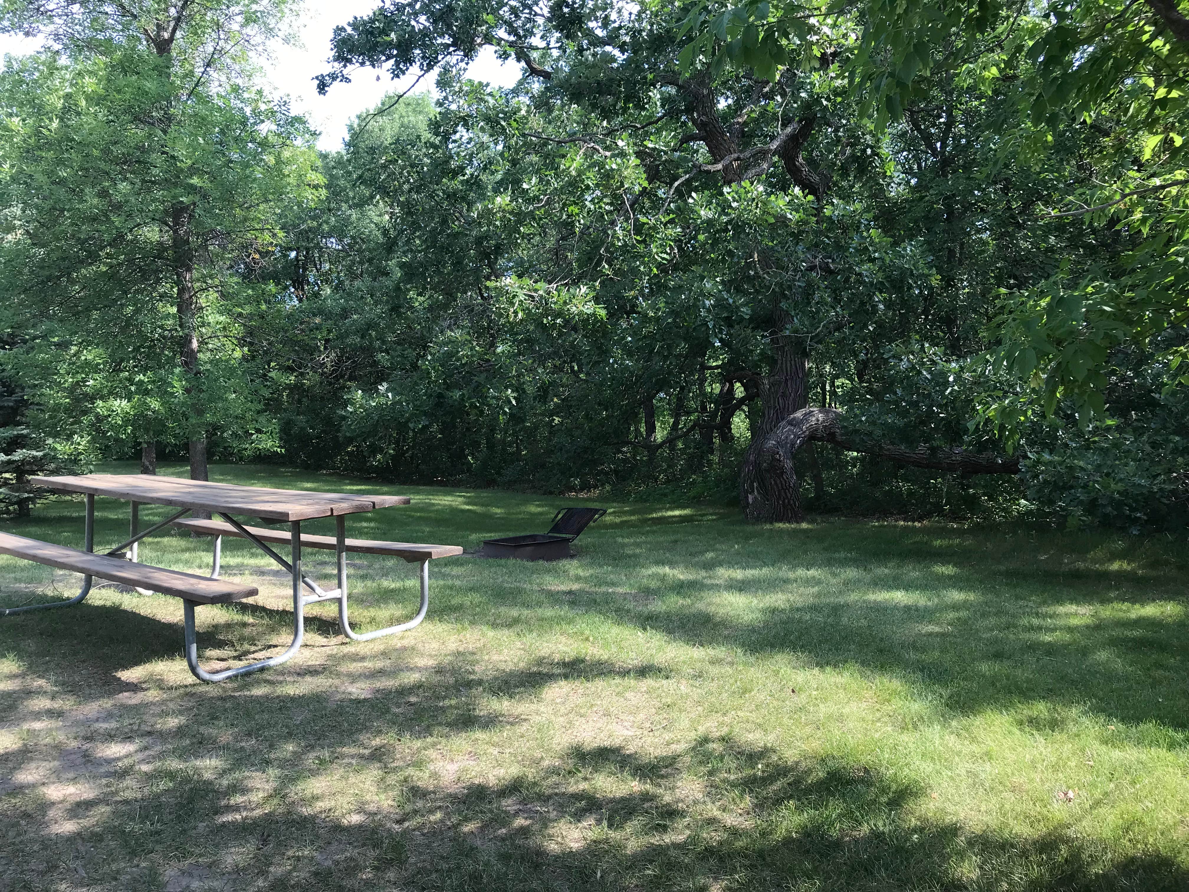 Camping near Leistikow City Park: Icelandic State Park Campground, Cavalier, North Dakota