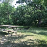 Review photo of Icelandic State Park Campground by Rob P., July 8, 2021