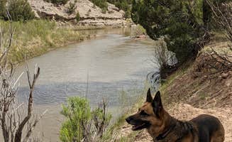 Megan V.'s photo of camping with pets at Oak Point Campground in New Mexico