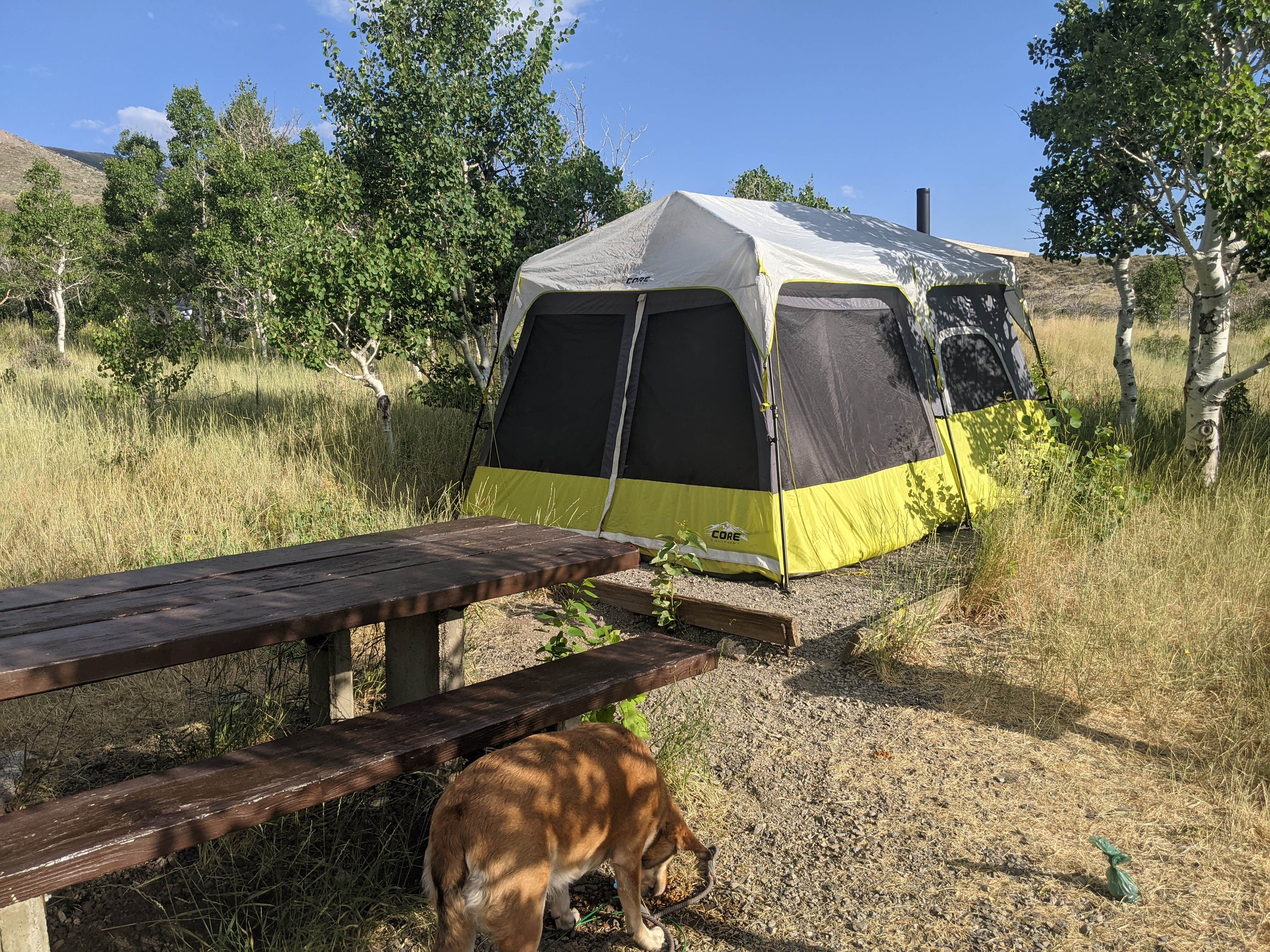 Lesley J.'s photo at Humboldt National Forest Angel Lake Campground near Spring Creek, NV