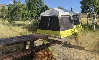 Lesley J.'s photo at Humboldt National Forest Angel Lake Campground near Elko, NV