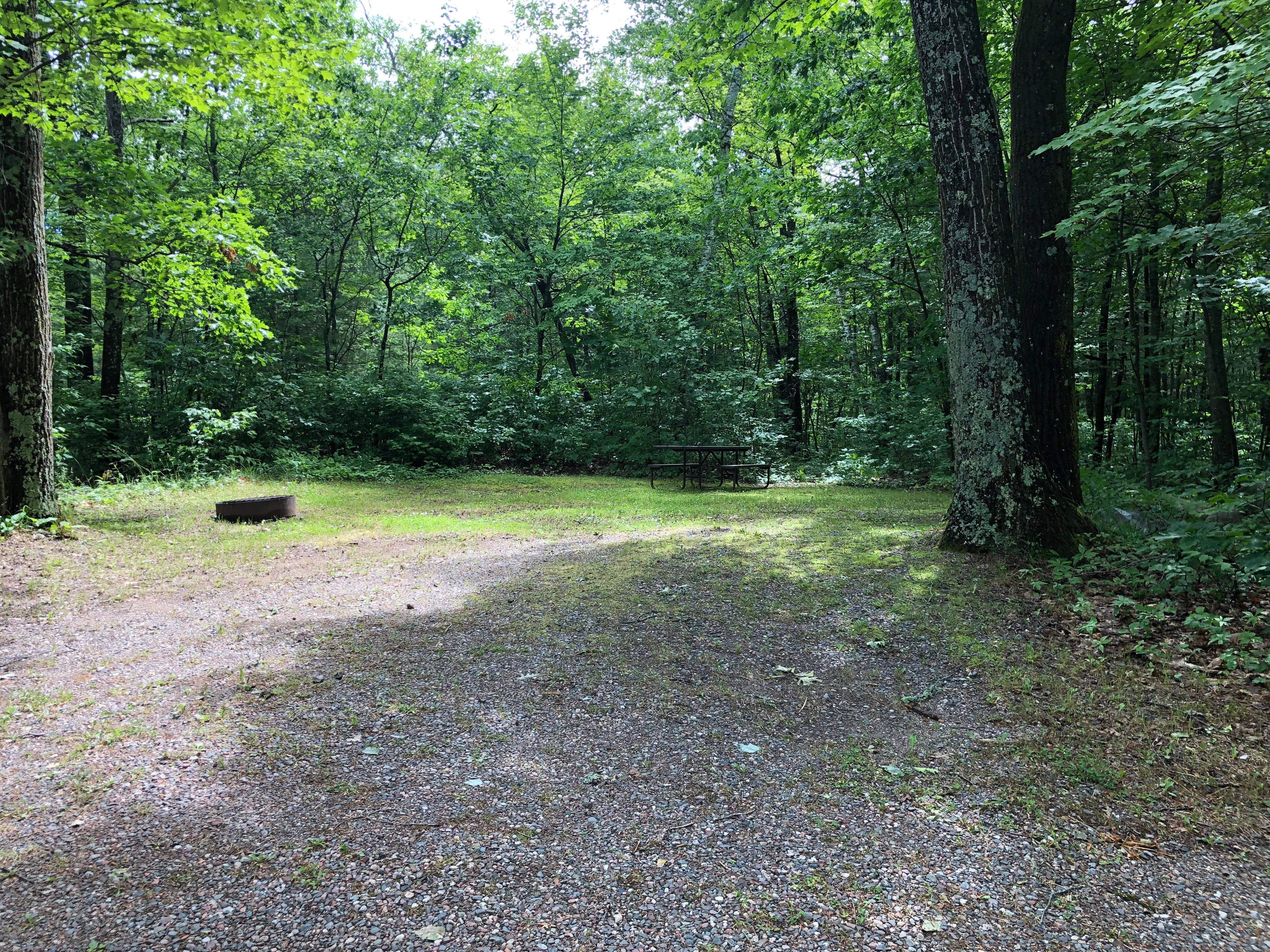 Camper submitted image from Upper Gresham Lake Campground — Northern Highland State Forest - 2