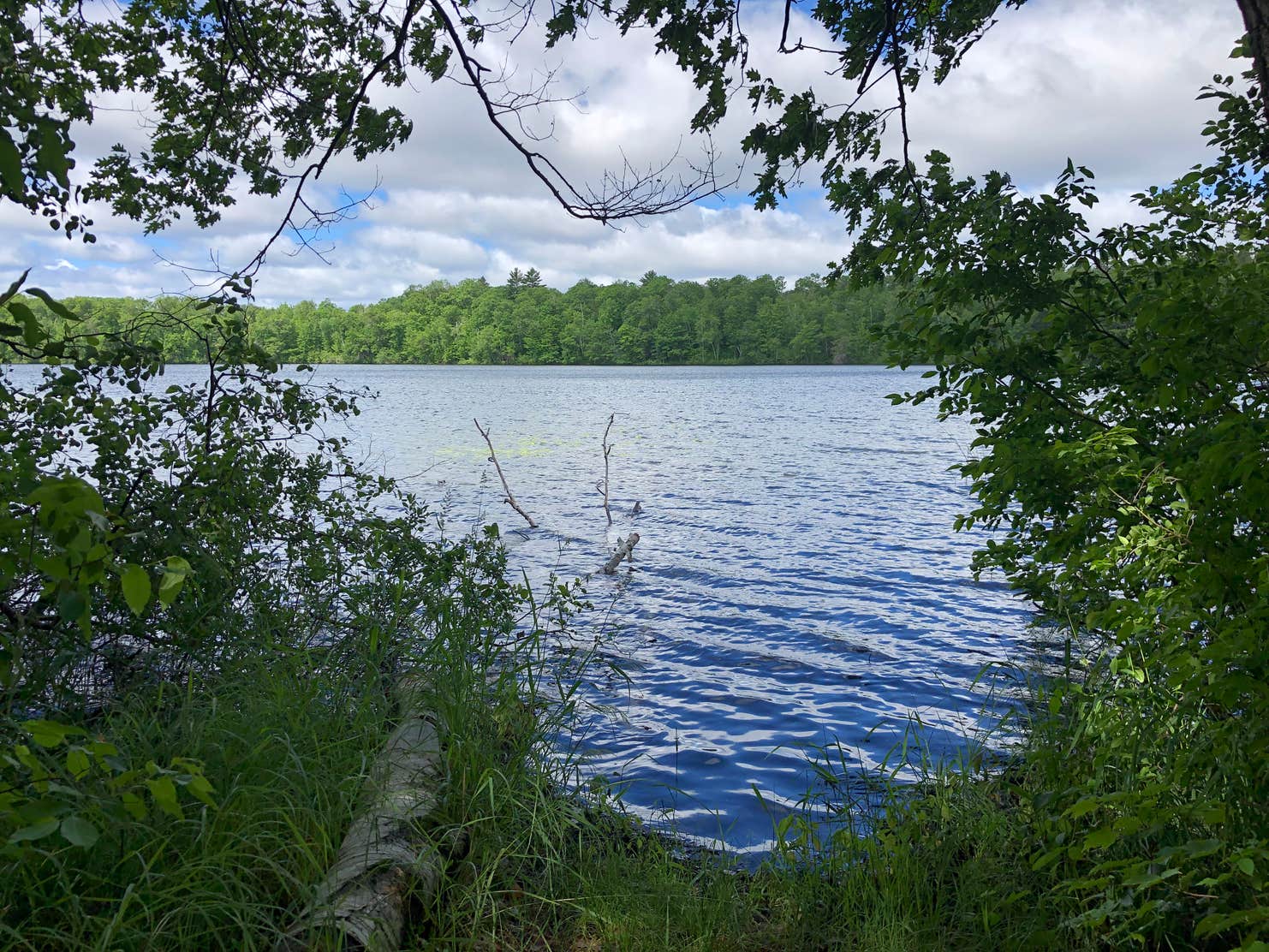 Upper Gresham Lake Campground Camping The Dyrt