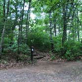 Review photo of Upper Gresham Lake Campground — Northern Highland State Forest by Art S., July 8, 2021