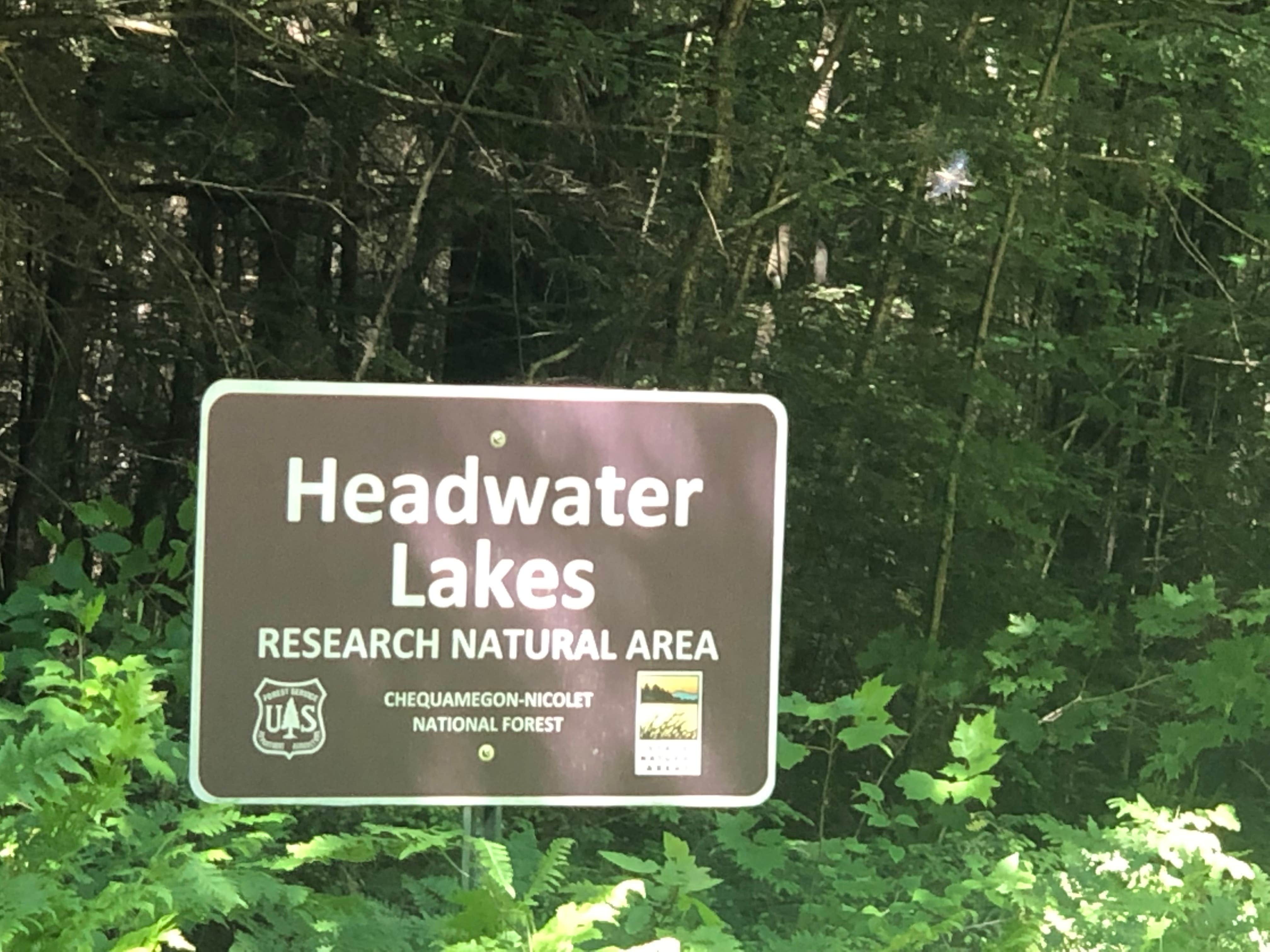 Camper-submitted photo at Wabasso Lake Recreation Area near Minocqua, WI