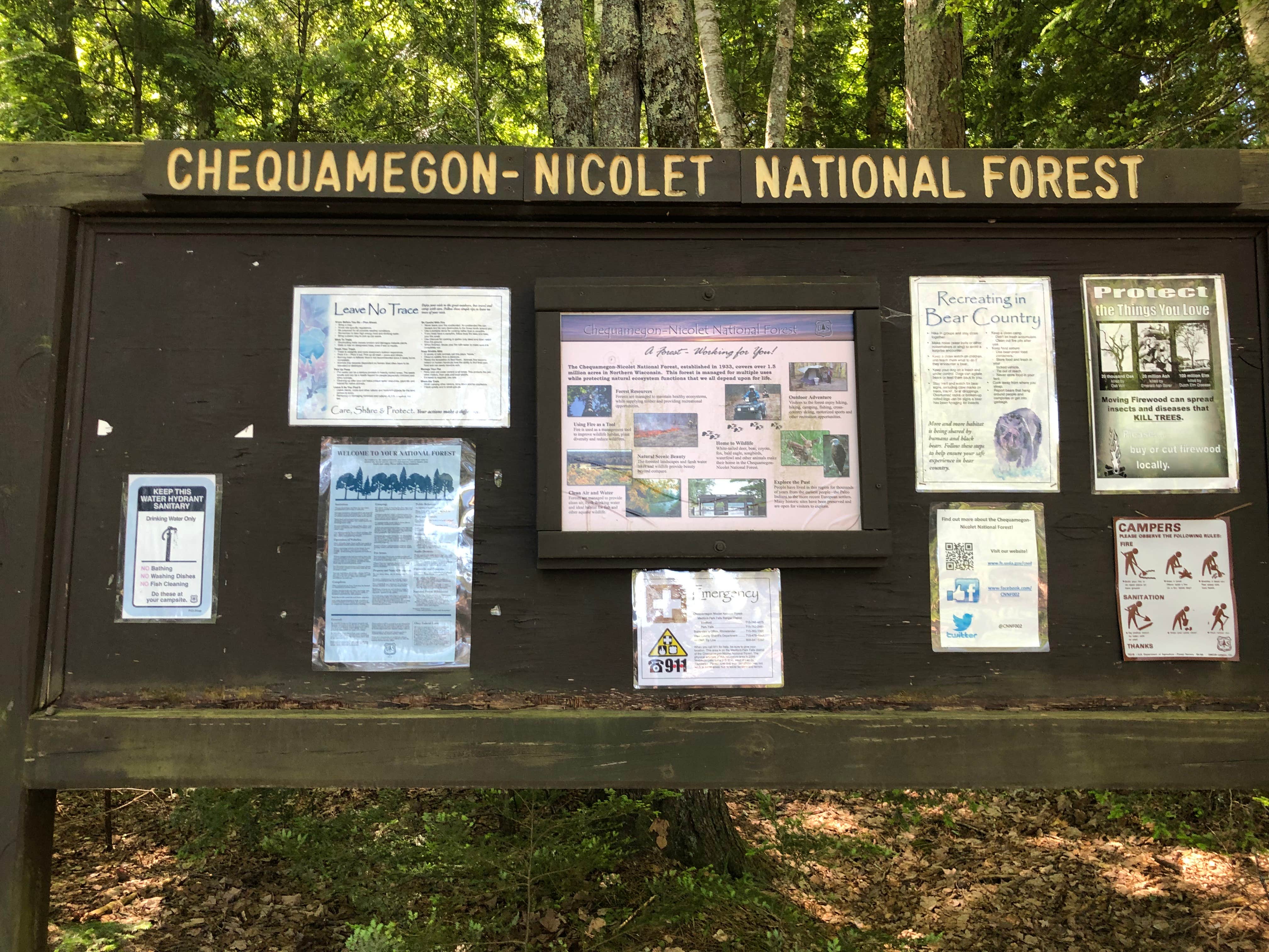 Camper-submitted photo at Wabasso Lake Recreation Area near Minocqua, WI