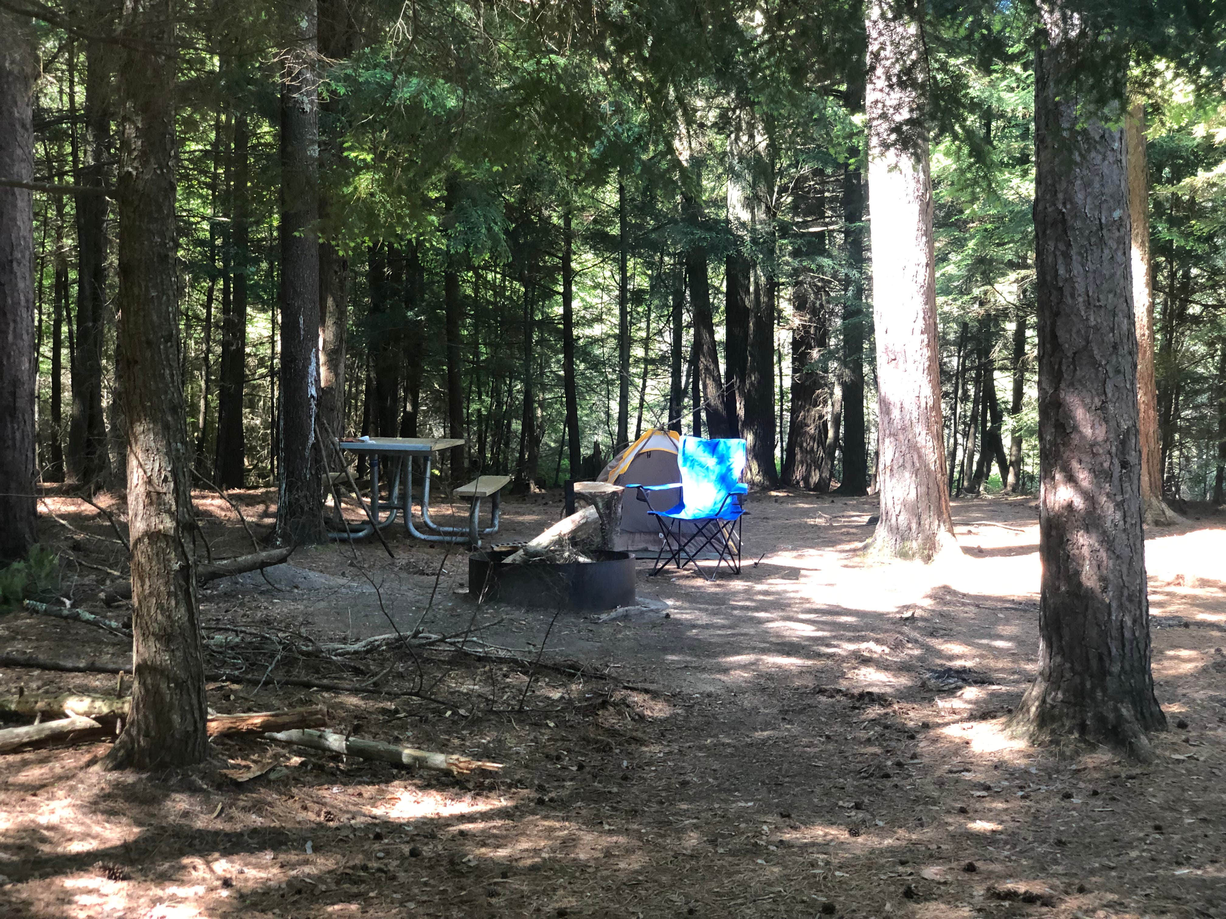Art S.'s photo of tent camping at Wabasso Lake Recreation Area near Minocqua, WI