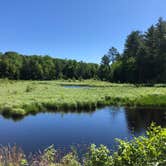 Review photo of Wabasso Lake Recreation Area by Art S., July 8, 2021