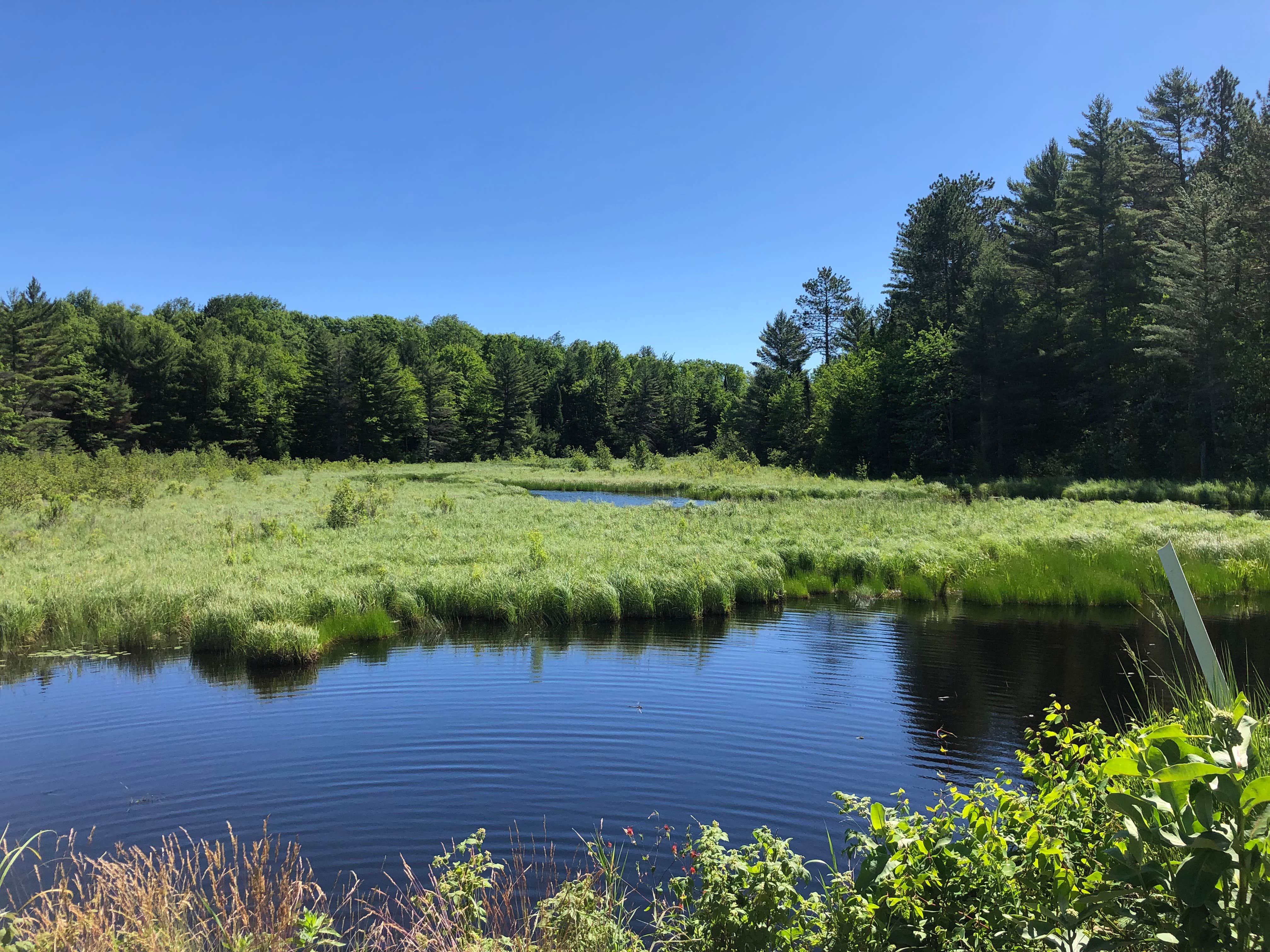 Camper submitted image from Wabasso Lake Recreation Area - 5