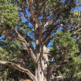 Review photo of Navajo National Monument Sunset View Campground by Jayne  W., June 13, 2018