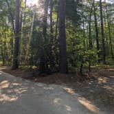 Review photo of Pocomoke River State Park Campground by Kat H., July 8, 2021