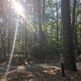 Review photo of Pocomoke River State Park Campground by Kat H., July 8, 2021