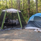 Review photo of Pocomoke River State Park Campground by Kat H., July 8, 2021